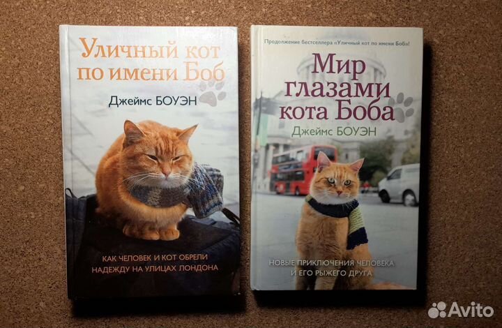 Уличный кот по имени Боб и Мир глазами кота Боба