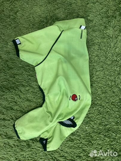 Одежда для собак