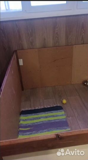 Манеж для собак