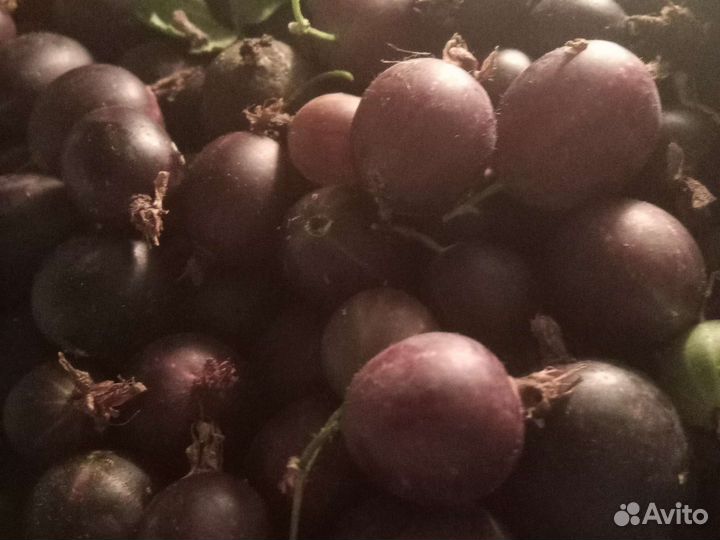 Домашняя йошта Очень вкусная под заказ