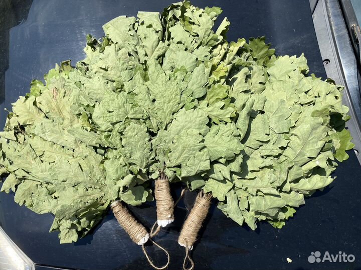 Веники для бани 2023