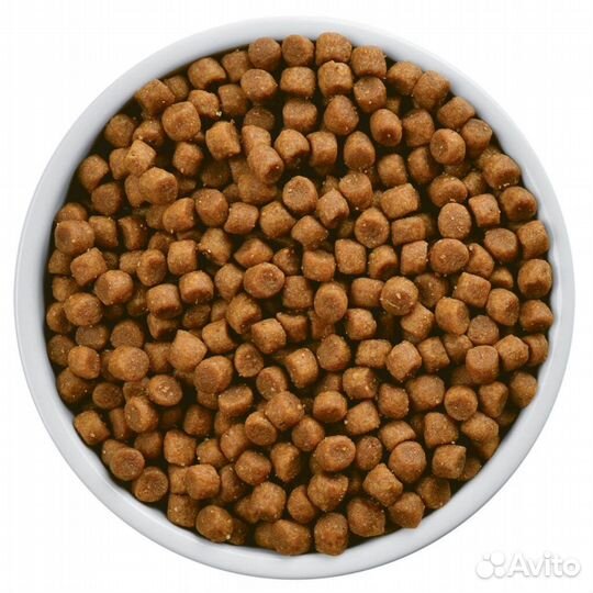 Сухой корм для собак