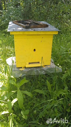 Улей для пчел