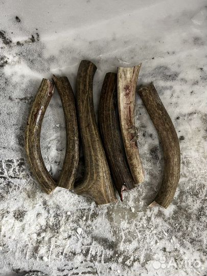 Рожки для пёселя