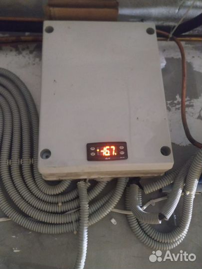 Сдаю в аренду холодильную камеру 22 куба