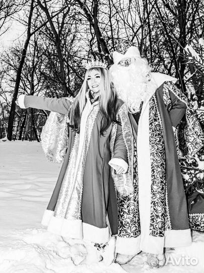 Дед Мороз на дом