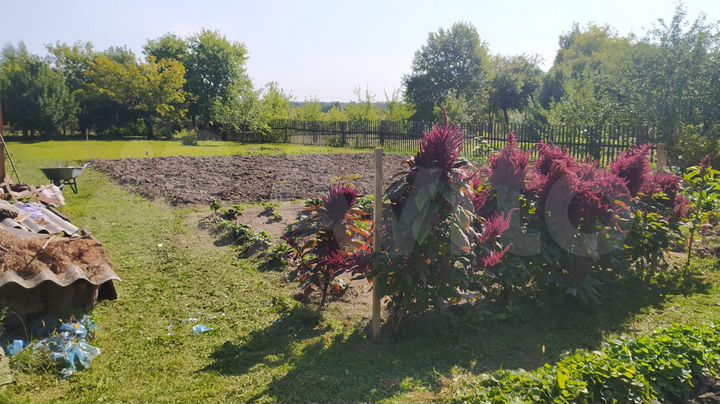 Дача 40 м² на участке 15 сот.