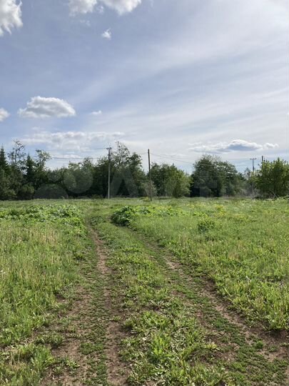 Участок 10 сот. (СНТ, ДНП)