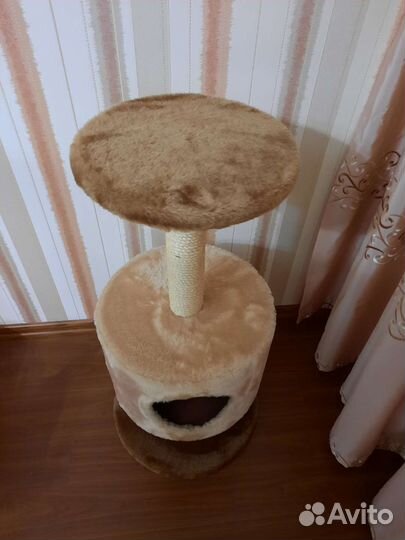 Дом когтеточка