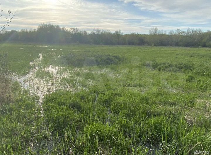 Участок 44 га (СНТ, ДНП)