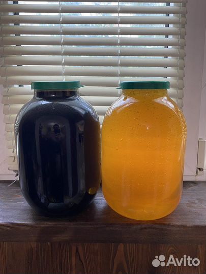 Молочай мёд