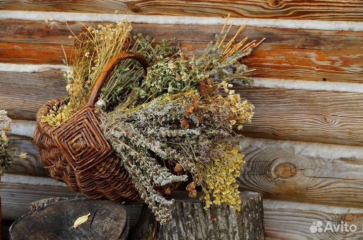 Сухая трава для бани Донник оптом со склада