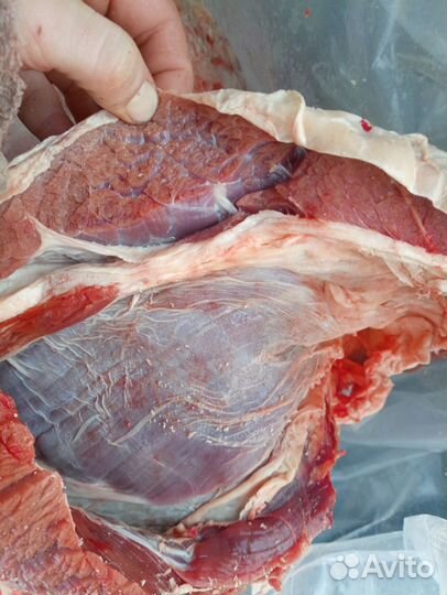 Мясо говядина