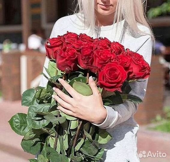 Розы гиганты 140 150 160 170 180 200