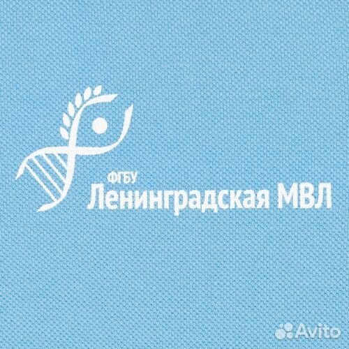 Поло футболки брендирование на заказ
