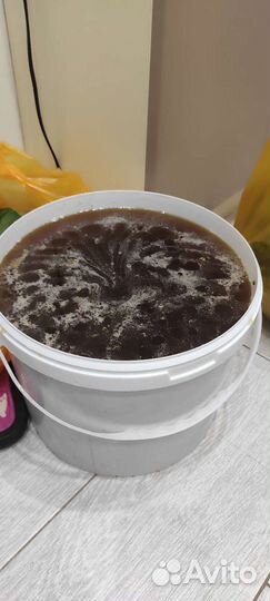 Собственный продукт