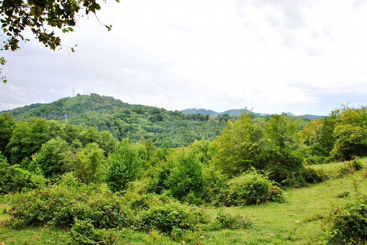 Участок 5 сот. (ИЖС)