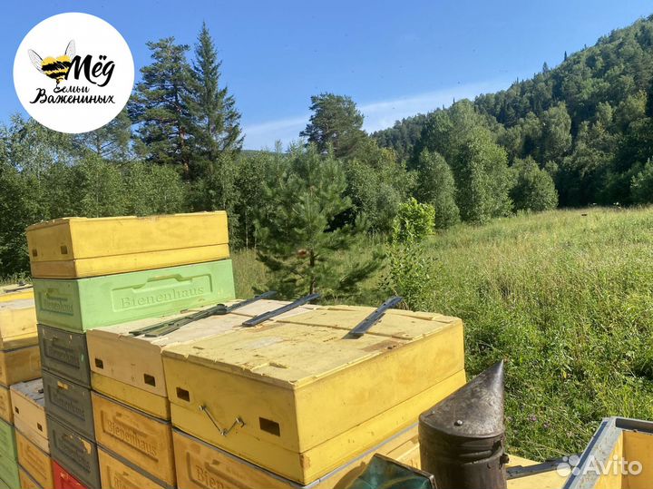 Мед липовый, гречишный, акациевый