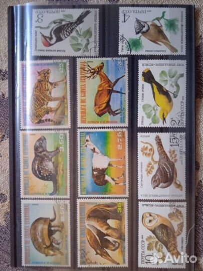 Почтовые марки