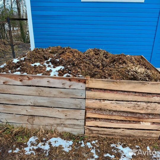 Навоз коровий