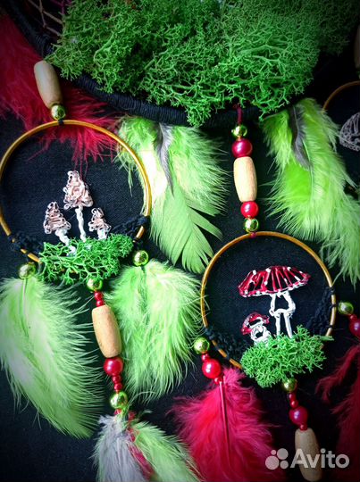 Ловец Снов и Грибов