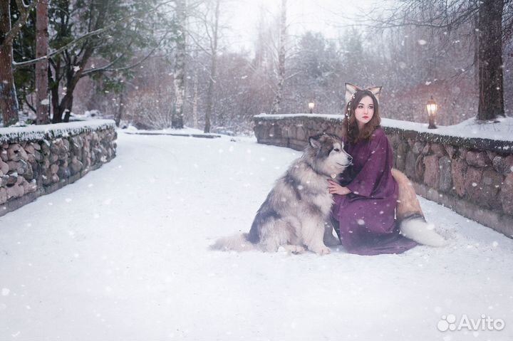 Хвост и ушки лисы