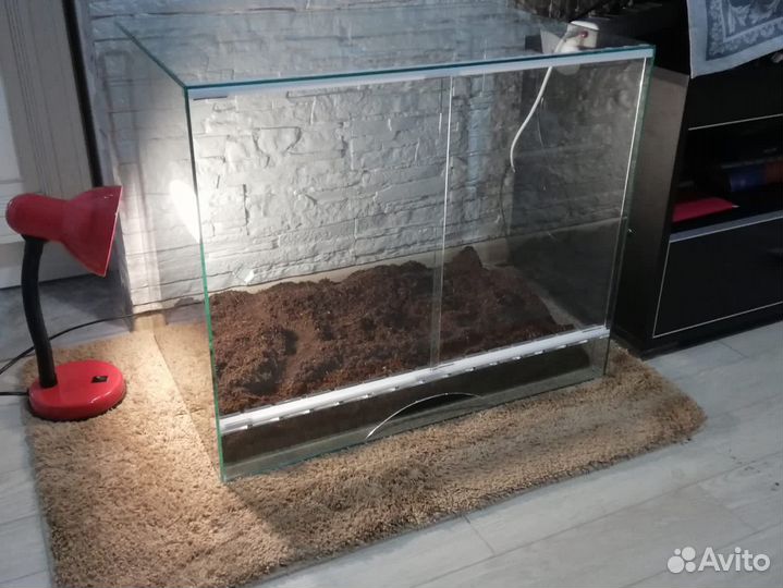 Террариум. Для животных. Рептилий. Аквариум
