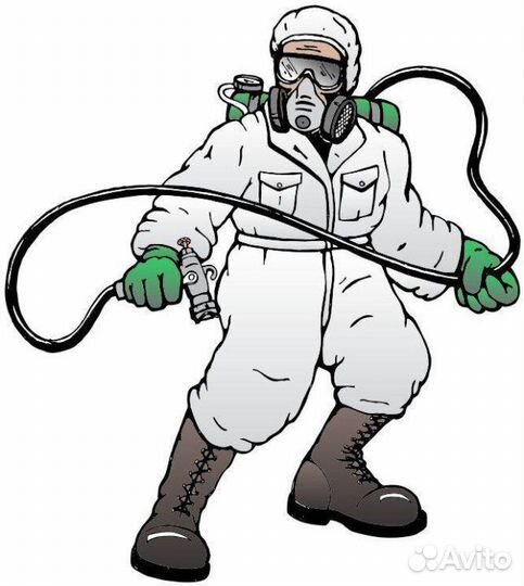 Дезинсектор с ежедневной оплатой