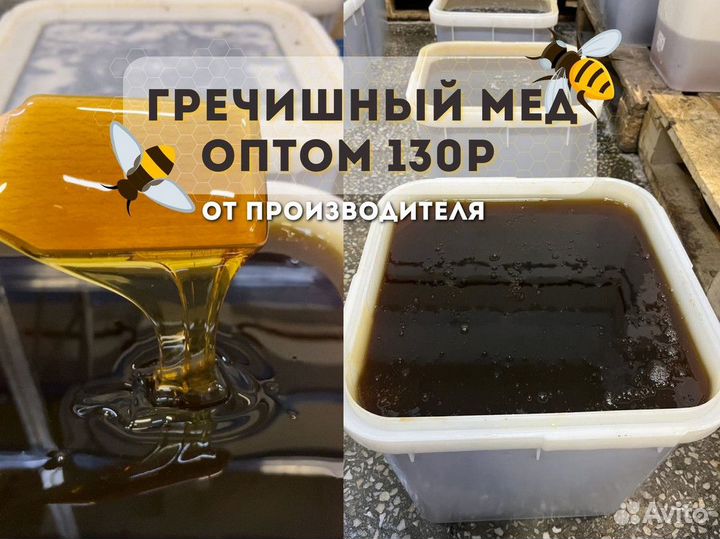 Свежий гречишный мед оптом