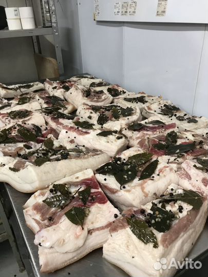 Сало соленое. Шпик