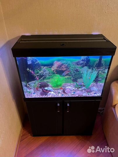 Аквариум с тумбой полный комплект