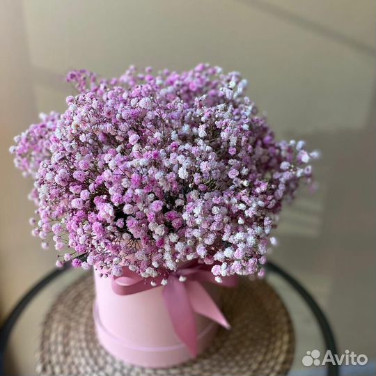 Гипсофила оптом и в розницу