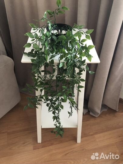 Искусственная зелень, Традесканция