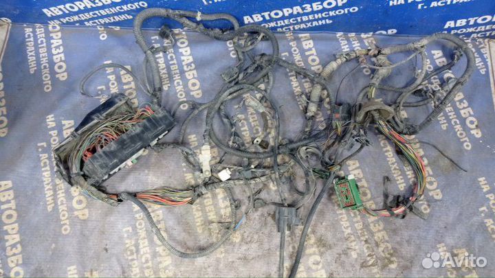 Проводка подкапотная Ford Focus 2 седан qqdb 2007