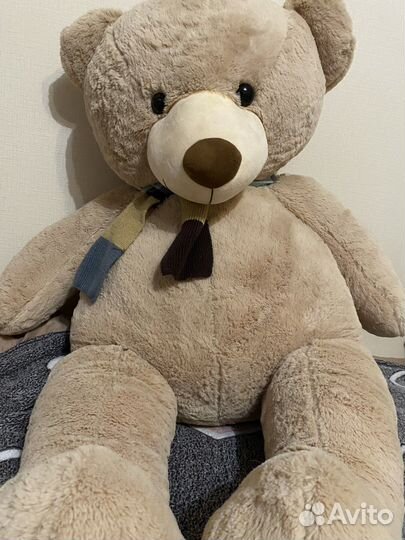 Плюшевый медведь