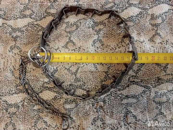 Строгий ошейник для собак