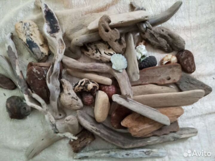 Дрифтвуд Черноморский350р