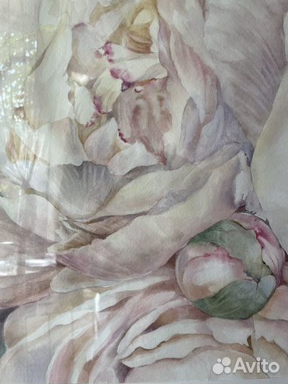 Картина в интерьер акварель холст Пионы