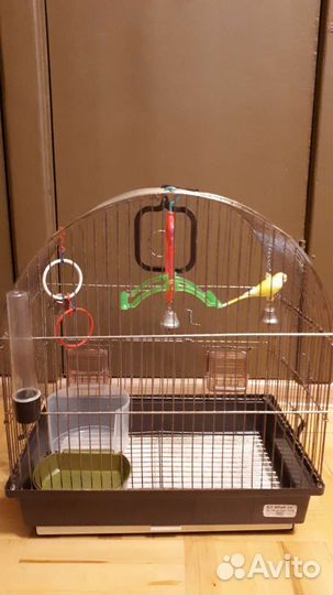 Клетка для попугая