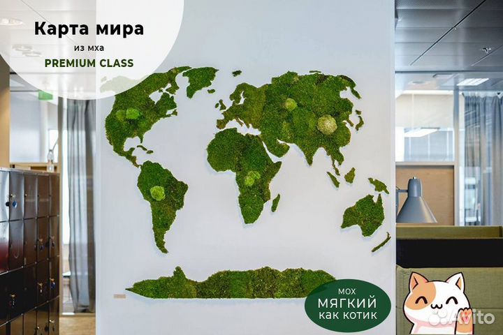 Стабилизированный мох.Карта мира из мха 90 см