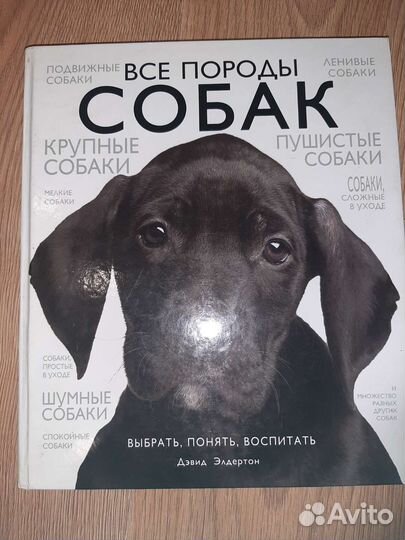 Книга Все породы собак