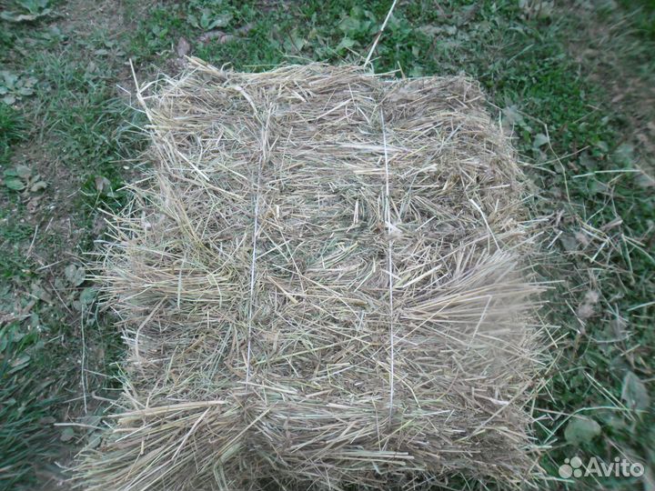 Сено в тюках