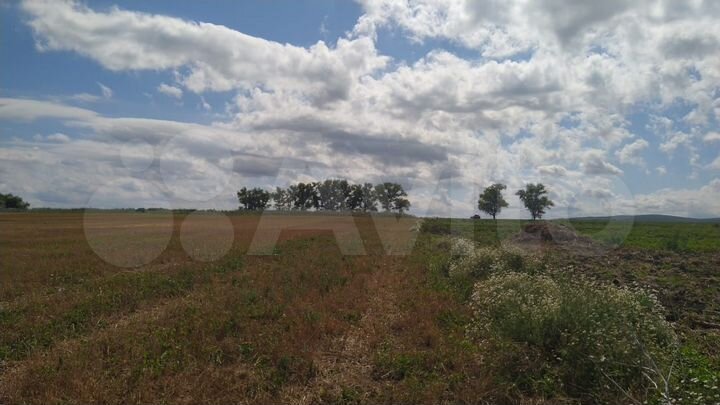 Участок 4,7 га (СНТ, ДНП)