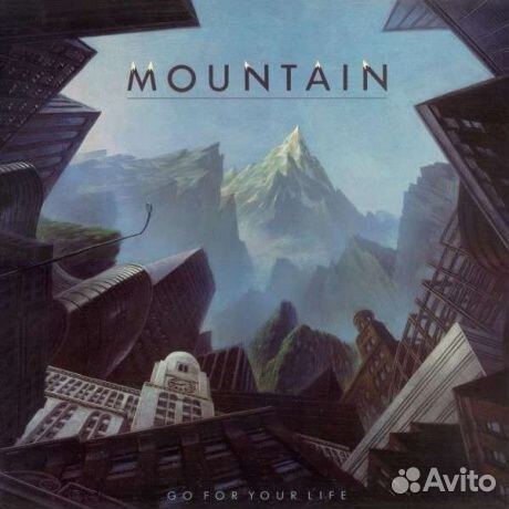 Mountain - Go For Your Life (LP, Used)