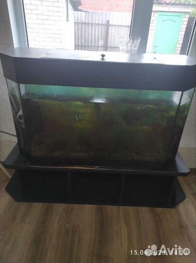 Аквариум