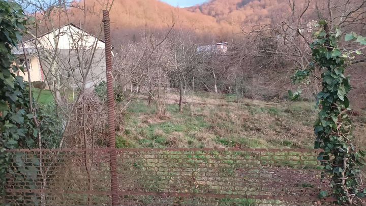 Участок 6,5 сот. (СНТ, ДНП)