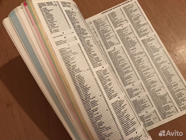 Всё о цветах в вашем саду