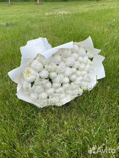 Пионы с доставкой