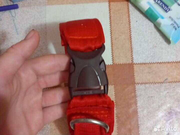 Ошейники,шлейки, павадоки,вадилки