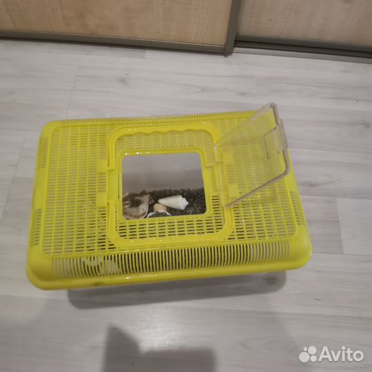 Аквариум - террариум для переноса